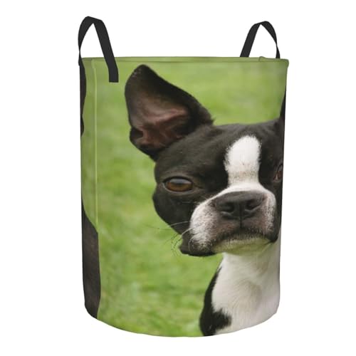 Boston Terrier Round Waterproof Oxford Cloth Laundry Basket Multi-Purpose Storage Basket Toys Books Clothes Storage Basket - color: Black 5