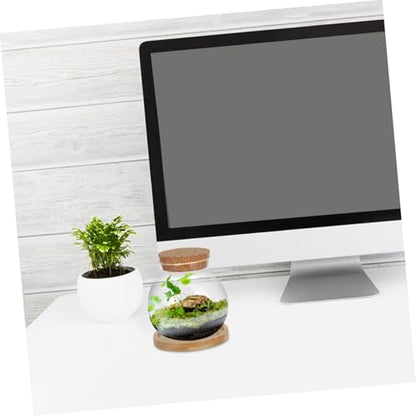 PRETYZOOM Glass Hydroponic Vases with Mat for Desktop Use Small Fish Bowls for Plant Lovers Gardening Decor
