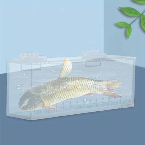 Fish Viewing Box Acrylic Outdoor Indoor Micro Landscape Fish Tanks Fishing Photo Tank Fish Breeding Tanks Photo Box with Scale(XL) - size: XL