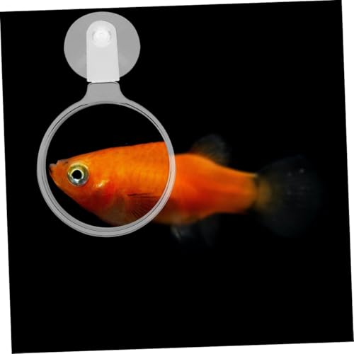 KOMBIUDA 4pcs Acrylic Magnifier Viewer for Fish Tank Cup Design for Easy Installation High Definition Viewing of Animals and Plants for Observing -Landscapes and Spiders