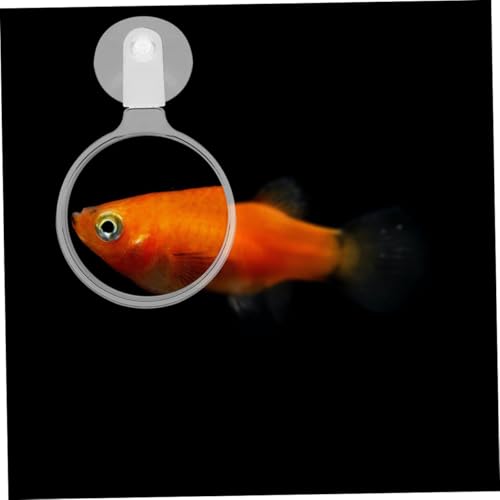 Abaodam Acrylic Glass with Cup for Aquarium Observation High Viewing Tool for Small Animals Plants and Landscapes