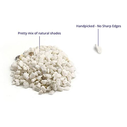 Royal Imports River Rocks, Aquarium Gravel – White 0.25" Gravel - 5 lbs | Decorative Ornamental Vase Filler Pebbles for Potted Plants, Terrariums, Vases, Succulents, Fish Tank Gravel, DIY & Crafting - size: 0.25" Gravel - 5 lbs, style: White