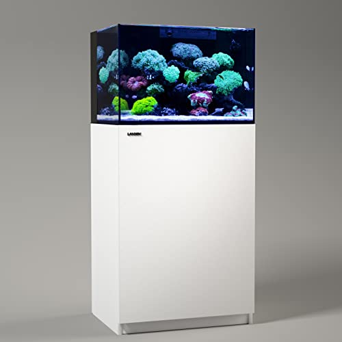 Landen 60P 26.23 Gallon Ultra Clear All Glass Rimless Low Iron Aquarium Tank with Rear Filtration Chamber for Salt and Fresh (Return Pump Included) 23.6Wx17.7Dx15.8H in(60x45x40cm) 8mm Thickness