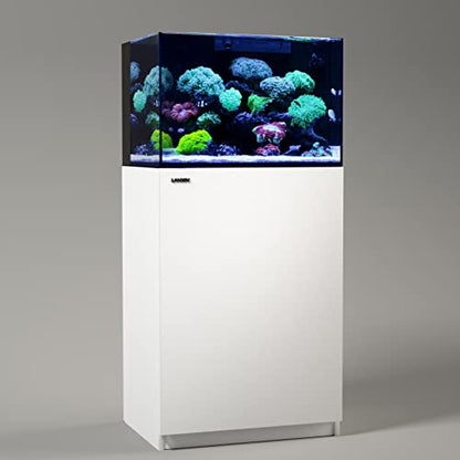 Landen 60P 26.23 Gallon Ultra Clear All Glass Rimless Low Iron Aquarium Tank with Rear Filtration Chamber for Salt and Fresh (Return Pump Included) 23.6Wx17.7Dx15.8H in(60x45x40cm) 8mm Thickness