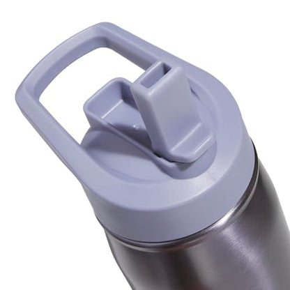 adidas Stainless Steel Metal Water Bottle 20 oz (600 mL) Straw Lid - color: Preloved Violet/Silver Violet Purple