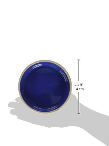 SPOT Ceramic Dish - Whisker-Friendly, Low-Edge Saucer for Cats, Birds, Reptiles, Ideal for Wet or Dry Food, Dishwasher Safe, 5.25-inch Diameter, Capacity: 2 Cups (16 Oz)