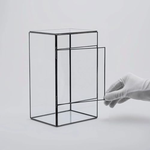Glass Terrarium Moss Holder for Indoor Micro Landscape DIY, Small Geometric Handcrafted Glass Container with Black Tin Frame, Mini Ecological Plant Planter for Living Room Decor