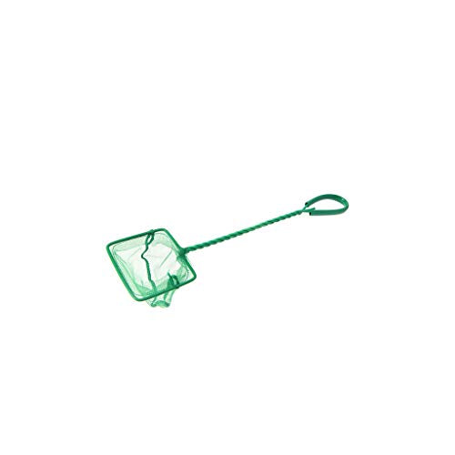 Aquarium Fish Net 4" Fine Mesh Green Skimmer Filter for Small Fish Tanks Catch Net with Comfortable