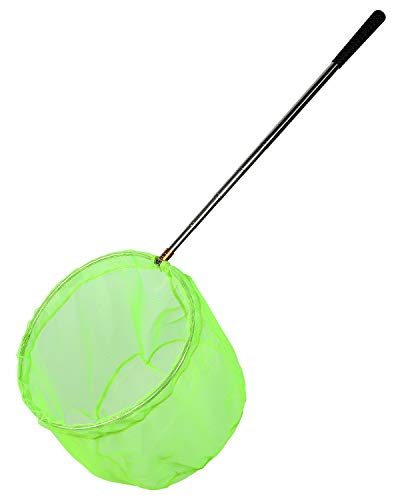 RESTCLOUD Bait Net and Fishing Landing Net with Telescoping Pole Handle Extends to 59 inches - color: Green
