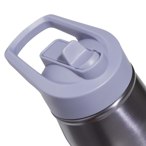 adidas Stainless Steel Metal Water Bottle 20 oz (600 mL) Straw Lid - color: Preloved Violet/Silver Violet Purple