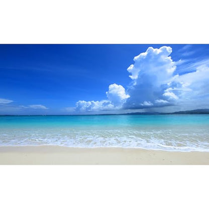 Tropical Beach Aquarium Background Ocean Sea Sandbeach Fish Tank Background Ocean Seascape Terrarium Backgrounds Sunny Blue Sky Clouds Seacoast Ocean Sea Waves Reptile Tank Backgrounds 24x16in - color: Blue, size: 24(W)x16(H)inches/ 60(W)*40cm(H)