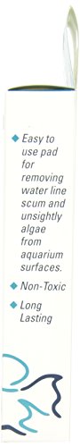 Lifegard Aquatics 4-Inch by 6-Inch White Algae Pad - size: Small