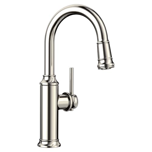 BLANCO 442631 Replacement Spray Head for Empressa Bar Faucet - Polished Nickel - color: Polished Nickel