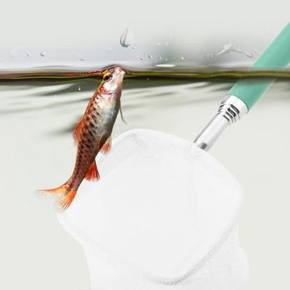 Green/Red Square Round Metal Aquarium Fish Net Mini Size Extendable Telescopic Fish Shrimp Landing Net Aquarium Fish Tank Tool - style: Green Square