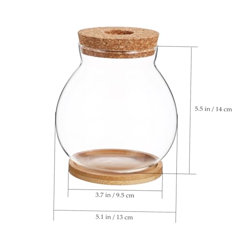 Toyvian Desktop Glass Fish Bowl with Lid Small Hydroponic Betta Tank Includes Mat for Easy Placement for Home Office Dining Table Decoration