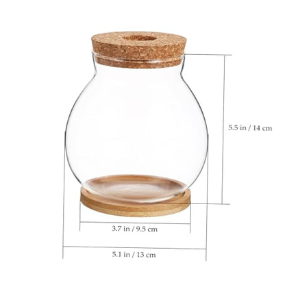 Toyvian Desktop Glass Fish Bowl with Lid Small Hydroponic Betta Tank Includes Mat for Easy Placement for Home Office Dining Table Decoration
