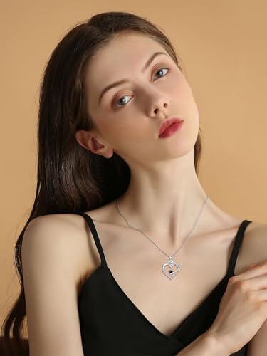Graduation Gifts for Women 925 Sterling Silver Compass/Graduation/Vet/Cross/Stethoscope Necklace for Women - color: Graduation-2025-1