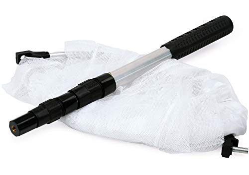 Insect and Butterfly Net with 12" Ring, 24" Net Depth, Handle Extends to 36 Inches - size: 16" Ring, 36" Handle