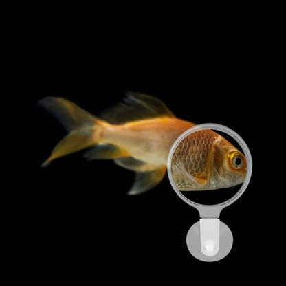 Beaupretty 4pcs Fish Tank Magnifying Glass Suction Cups Acrylic Magnifier for Aquariums and Reptile Tanks for Observing Animals and Plants