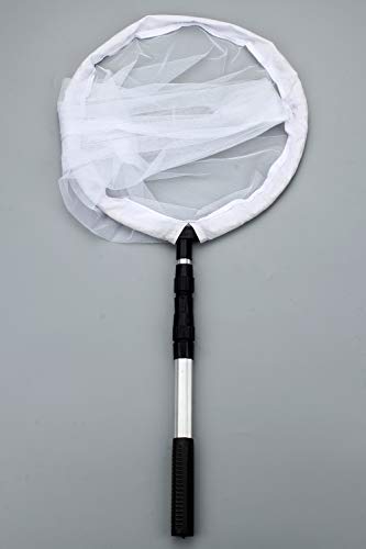 Insect and Butterfly Net with 12" Ring, 24" Net Depth, Handle Extends to 36 Inches - size: 14" Ring, 36" Handle