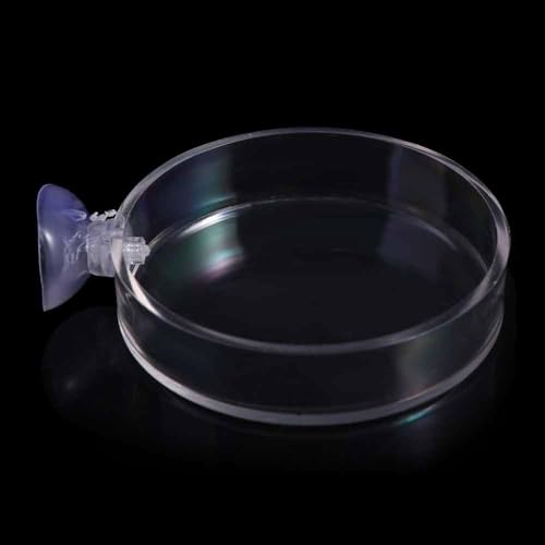 Shrimp Food Box, Round/Square Practical Fish Feeding Bowl, Acrylic Transparent Aquarium Accessories Fish Feeding Dish Shrimp Food Feeding Circle(E) - style: E