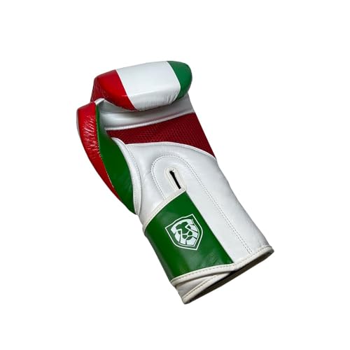 Invincible Fight Gear Standard Hook and Loop Leather Training Boxing Gloves with Mexican Flag Colors -Ideal for Boxing, Kickboxing, Muay Thai, MMA for Men Women and Kids