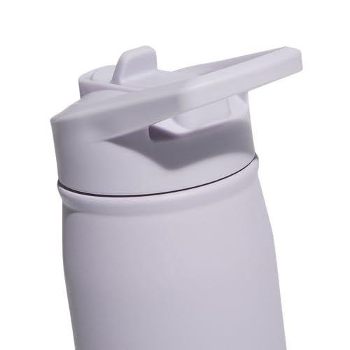 adidas Stainless Steel Metal Water Bottle 20 oz (600 mL) Straw Lid - color: Silver Dawn Grey/White