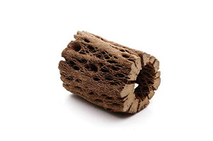 3 to 48 Inch All Natural Teddy Bear Cholla Wood Extra Hollow Large Untreated Organic Aquarium Driftwood Decoration Chew Toy Shrimp Crab Multi-Quantity (3 Pieces, 3 inch) - size: 3 Pieces, 3 inch
