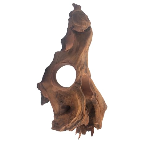 emours Porous Natural Driftwood for Aquarium, Aquascaping Driftwood with Holes, Hand-Selected Tunnels & Hideouts, Aquascaping Hardscape, Terrarium Reptile Décor, No Paint or Resin (8-12" (20-30 cm)) - size: 8-12" (20-30 cm)
