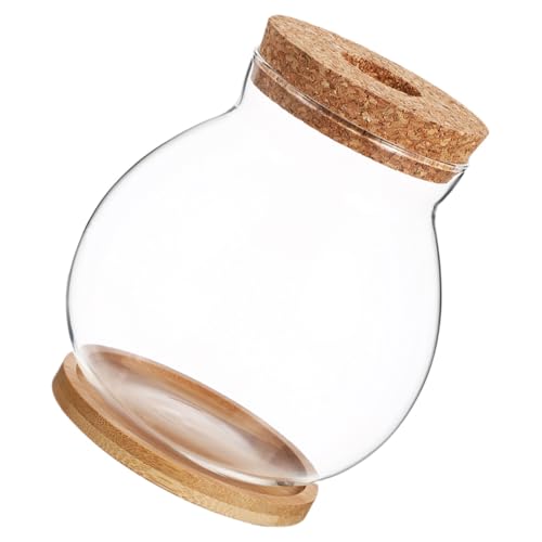GANAZONO Mini Glass Fish Bowl with Wood Lid, Hydroponic Small Aquarium 10x11cm, Desktop Betta Fish Tank with Mat for Home and Office Decor