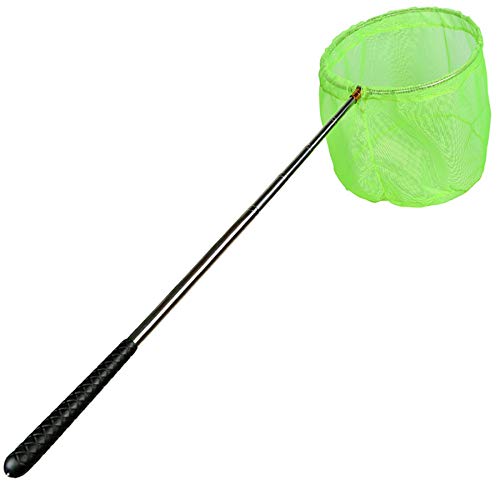 RESTCLOUD Bait Net and Fishing Landing Net with Telescoping Pole Handle Extends to 59 inches - color: Green