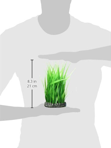 biOrb Grass Ring, Medium (Pack of 2) - size: Medium (Pack of 2)