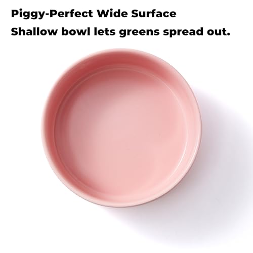 Guinea Pig Vegetable Bowl, 6 in Pink Ceramic Shallow Dish | Weighted Base, Approx. 20 fl oz Capacity, For Guinea Pigs, Chinchillas, Rabbits And Ferrets, Food Or Water