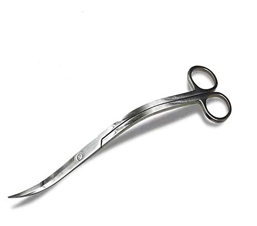 Aquarium Scissors Stainless Steel Mirror Wave Scissors | Professional Aquarium Plant Scissors, Ambidextrous, Silver