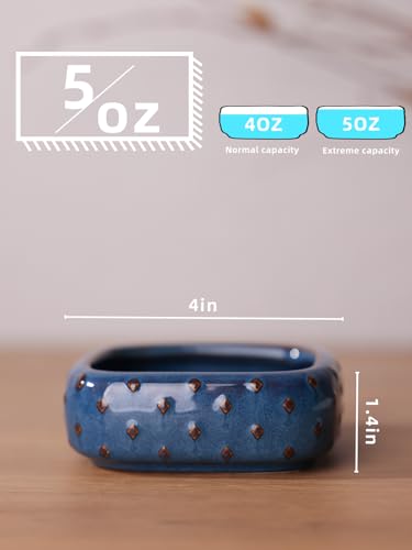 2-Pcs Ceramic Reptile Food Bowl, Mini Reptile Feeder (Farmhouse Blue) | Stable Base Design, Smooth Surface for Easy Cleaning, Safe Feeding Solution, Compact Habitat Accessory, Everyday Use - color: Farmhouse Blue