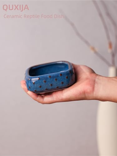 2-Pcs Ceramic Reptile Food Bowl, Mini Reptile Feeder (Farmhouse Blue) | Stable Base Design, Smooth Surface for Easy Cleaning, Safe Feeding Solution, Compact Habitat Accessory, Everyday Use - color: Farmhouse Blue