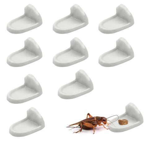 10 Pcs Isopod Feeding Dish Cricket Feeder Bowl for Isopods Springtails Dubia Roaches Tiny Bugs (White)