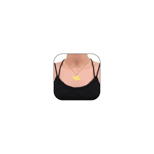 Iran Necklace Iran Map Charm Necklaces Dainty Gold Necklaces for Women Silver Jewelry Gifts for Women - color: A3:Iran Map Necklace