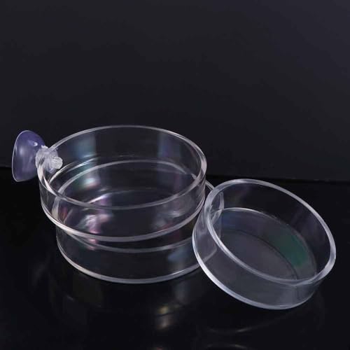 Shrimp Food Box, Round/Square Practical Fish Feeding Bowl, Acrylic Transparent Aquarium Accessories Fish Feeding Dish Shrimp Food Feeding Circle(D) - style: D