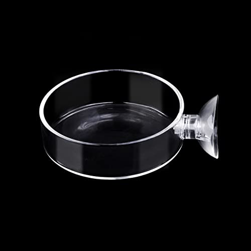 Aquarium Glass Feeder Shrimp Feeding Dish Round Clear Fish Tank Food Tray Container Prevent Food Spilling with Suction Cup, 60mm