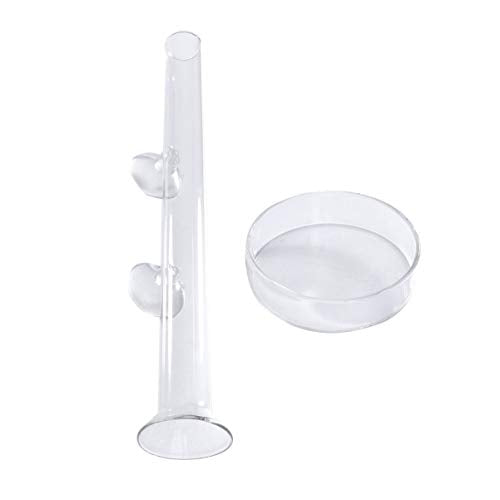 POPETPOP Feeder with Plate Shrimp Dish Feeder Container for Shrimp Tropical Fish African Dwarf Frog Aquarium Fish Tank - size: 20x3x3cm