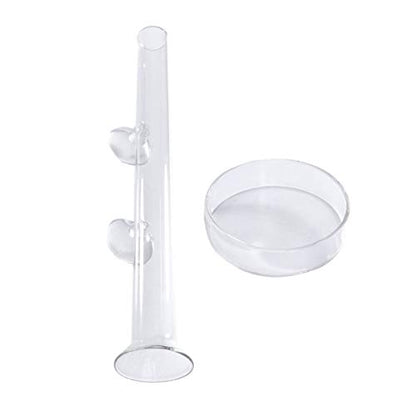 POPETPOP Feeder with Plate Shrimp Dish Feeder Container for Shrimp Tropical Fish African Dwarf Frog Aquarium Fish Tank - size: 20x3x3cm