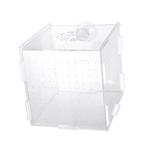 LIOOBO Modern Fish Tank Isolation Box Acrylic Fish Breeding Tank for Betta Guppy Suction Cups and Divider