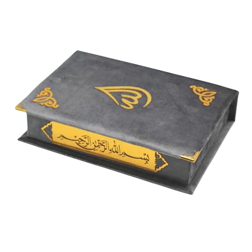 Al Quran Ul karim 13 Line Hafizi Holy koran Arabic Text With Beautiful Design Velvet Cover box - Taj Company Qura'n (Silver)