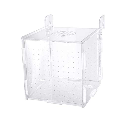 POPETPOP Fish Breeding Box-2 Box Hatchery Incubator Aquarium Fish Breeding Boxes Divider Hatching Boxes Accessory-Hook Pattern - size: Size 5