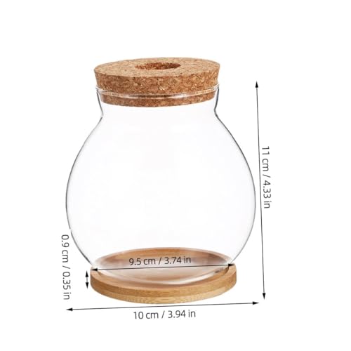 GANAZONO Mini Glass Fish Bowl with Wood Lid, Hydroponic Small Aquarium 10x11cm, Desktop Betta Fish Tank with Mat for Home and Office Decor