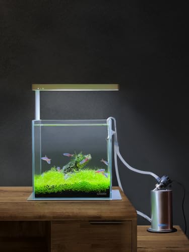 20C Rimless Low-Iron Cube Aquarium, 2 Gal, 7.9x7.9x7.9in | 20x20x20cm; shrimp, betta and nano; 5mm glass - size: 02Gal W7.8×D7.8×H7.8 in(20x20x20cm)