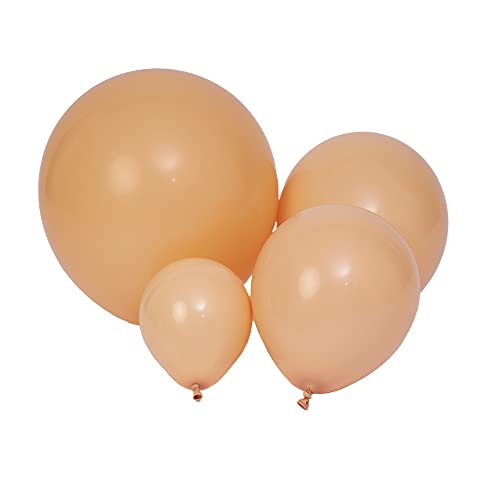 Latex Balloons, 100-Pack Different Sizes 18 12 10 5 Inch Party Balloon Garland Kit (Retro apricot Nude) - color: Retro Apricot Nude