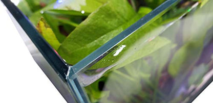Lifegard Aquatics Low Iron Ultra Clear 17 Gallon Mitered Glass Crystal Aquarium – Rimless, 45° Beveled Edge Glass
