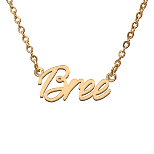 Name Tag Necklaces for Her His Friends Familys Relationship Memory Jewelry Gift - style: Gold Color- Bree
